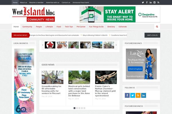 Goodnews 5.5 theme site design template sample