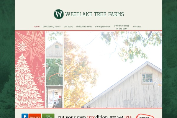 Avada theme site design template sample