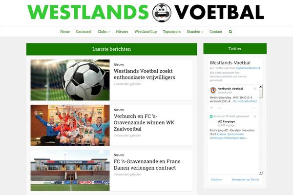 Voice theme site design template sample