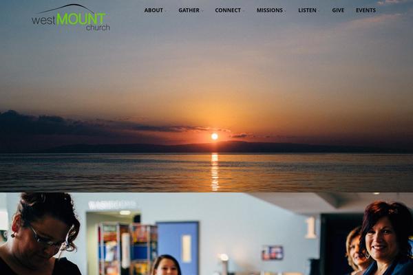 Optimizer_pro theme site design template sample
