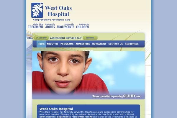 Custom theme site design template sample