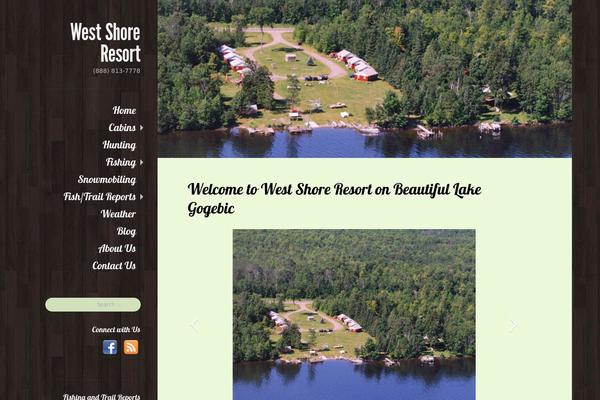 Site using Social Media Icons Widget plugin