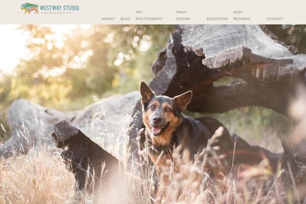 Site using Popupally-pro plugin