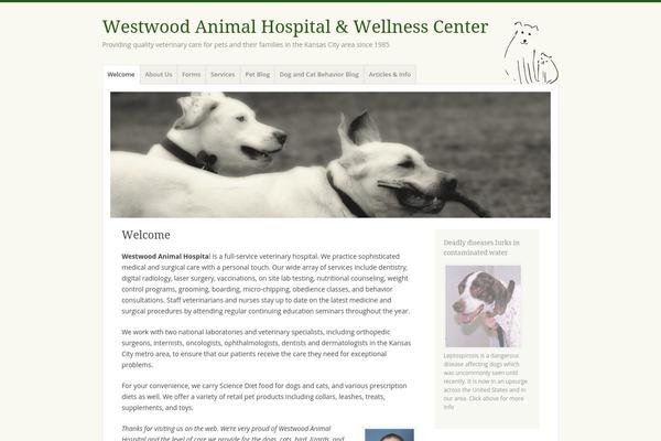 Misty Lake theme site design template sample