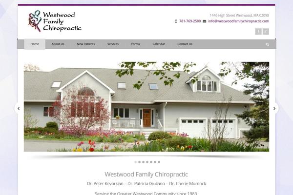 Site using Category Posts Widget plugin