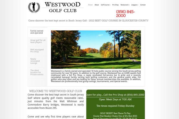 Modest theme site design template sample