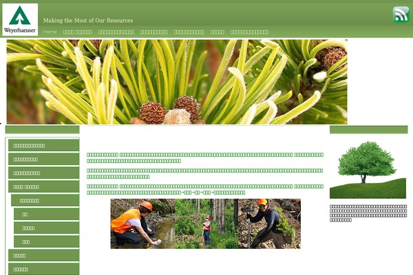 Emerald Stretch theme site design template sample