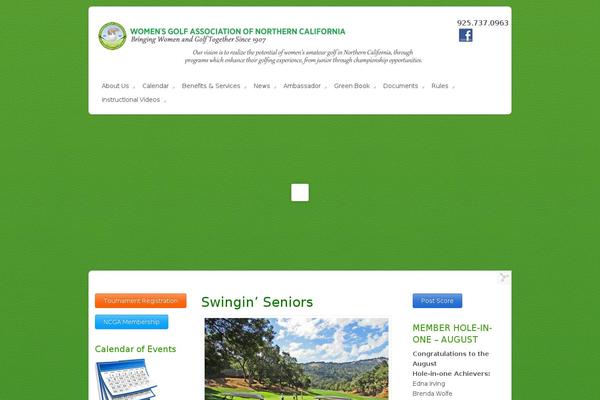 Site using Simple Popup Plugin plugin