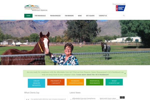Site using Marketo Forms and Tracking plugin