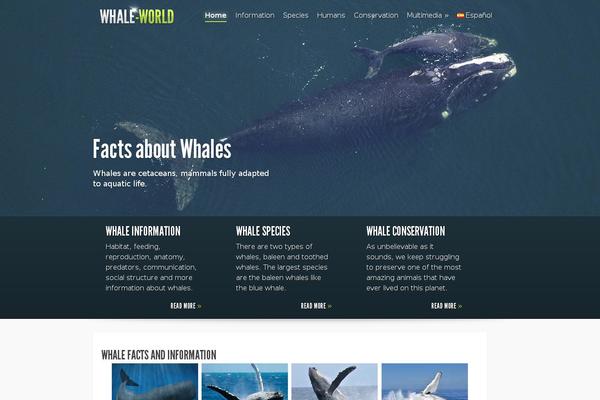Fusion-child theme site design template sample