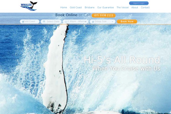 Site using Salient-portfolio plugin