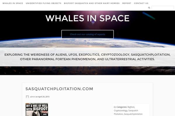 Modern theme site design template sample