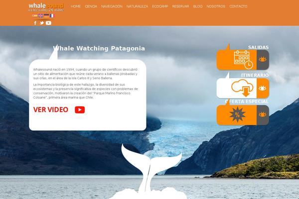 Site using mb.YTPlayer for background videos plugin
