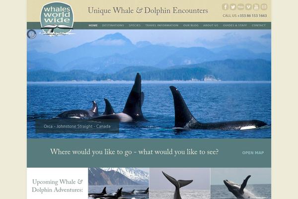 Site using WPSocialite plugin