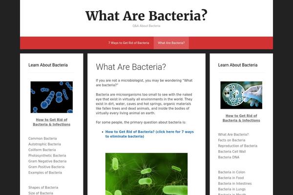 Site using Lazy Load for Videos plugin