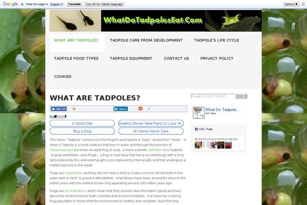 Site using WP Content Copy Protection & No Right Click plugin