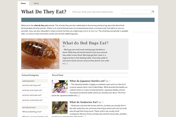 Mimbo theme site design template sample