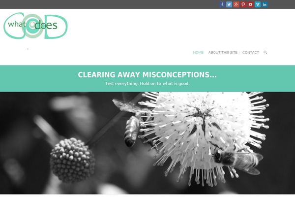 Interface theme site design template sample