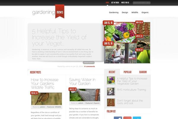 DelicateNews theme site design template sample