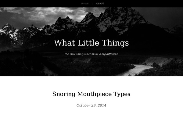 whatlittlethings.com site used Landscape