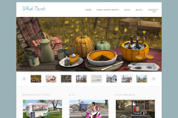 whatnextshop.com site used Amelia-theme