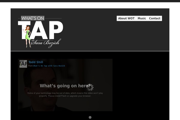 Wp-clearvideo108 theme site design template sample