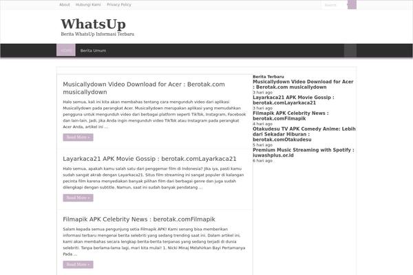 Sahifa theme site design template sample