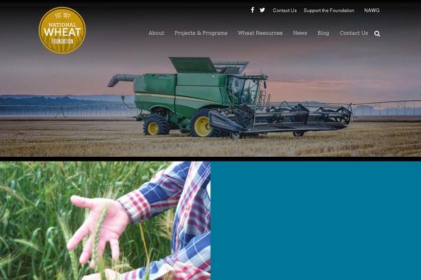 Iron-framework-child theme site design template sample