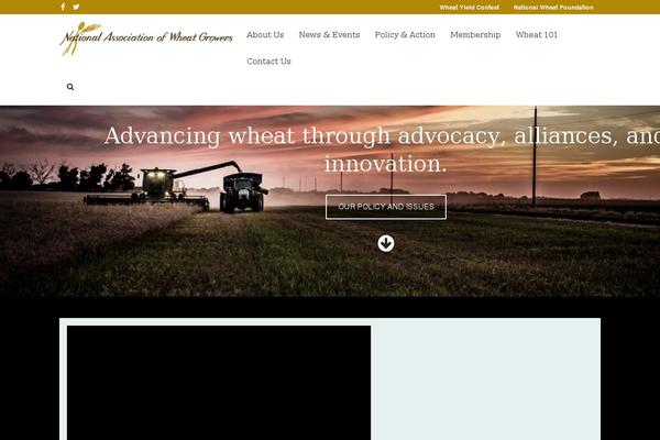 Site using Mailoptin plugin