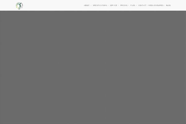 Brooklyn Child theme site design template sample