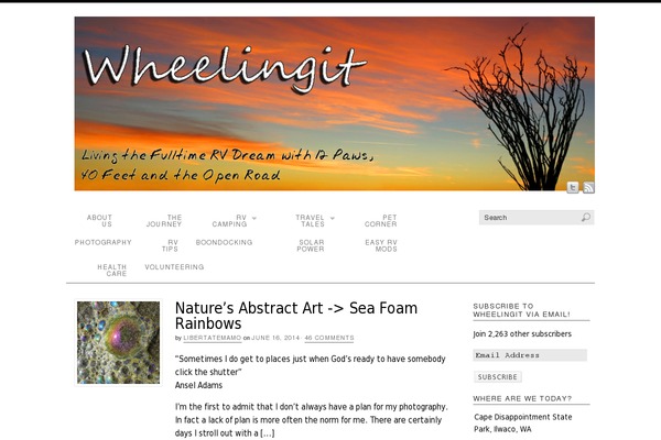 WordPress website example screenshot