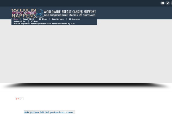 Site using Fetch Tweets plugin