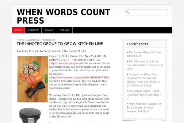 Diginews theme site design template sample