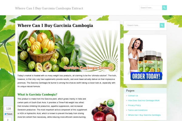 PaperCuts theme site design template sample