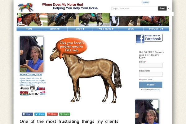 Site using Google Custom Search plugin