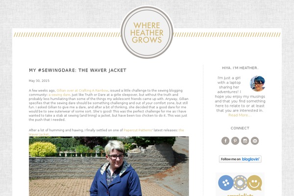 Lifestyle Pro theme site design template sample