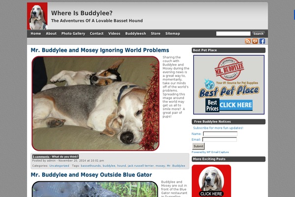 Site using EsAudioPlayer plugin