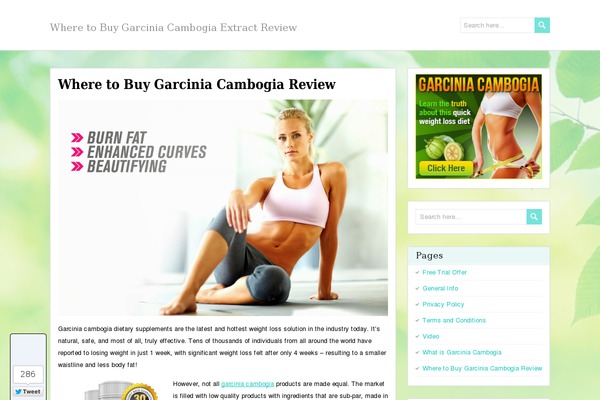PaperCuts theme site design template sample