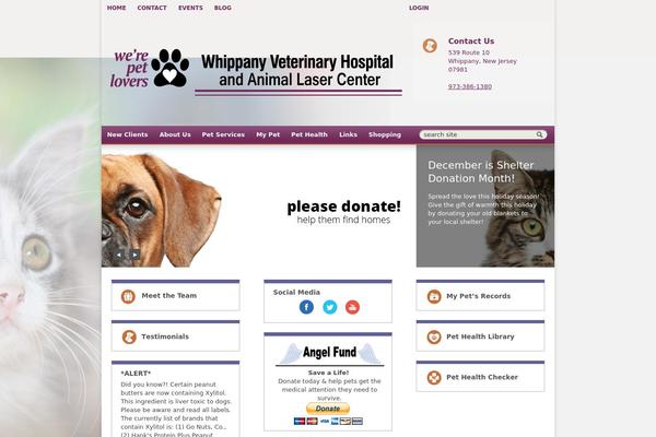 Site using Lifelearn-accessibility plugin
