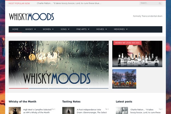 Site using Google Analyticator plugin