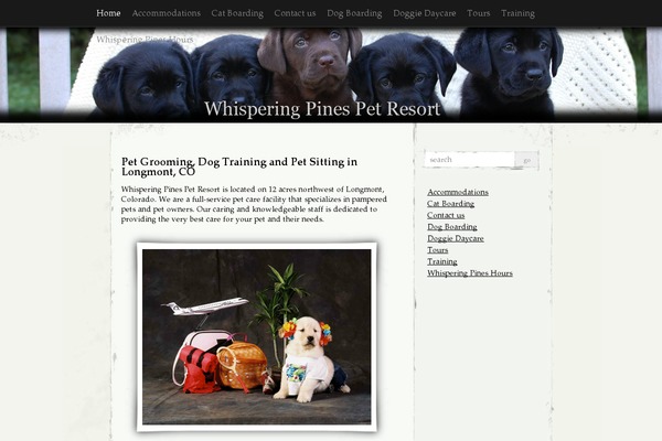 Elegant Grunge theme site design template sample
