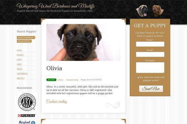 Decor theme site design template sample