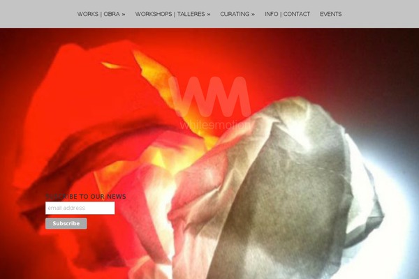 Site using fw-vimeo-videowall plugin