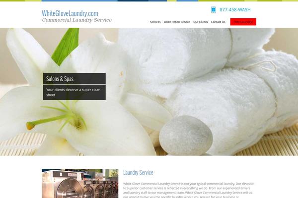 Laundry theme site design template sample