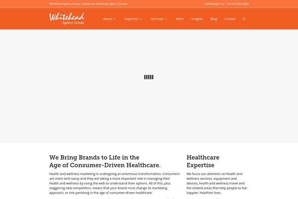 Site using Ad King Pro plugin