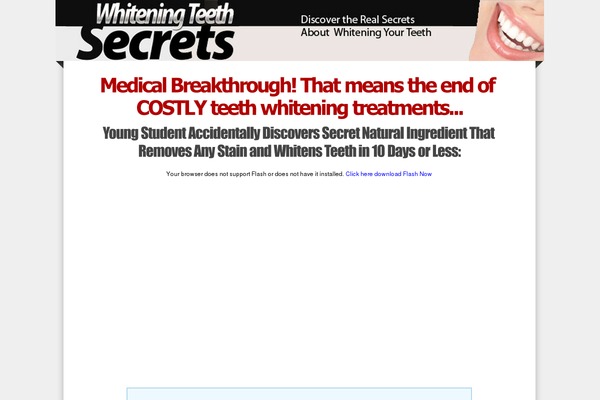 Flexsqueeze theme site design template sample