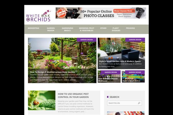 Bookshelf theme site design template sample