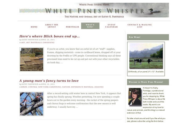 Site using Amazon Link plugin