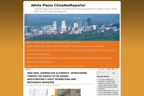 Aspen theme site design template sample