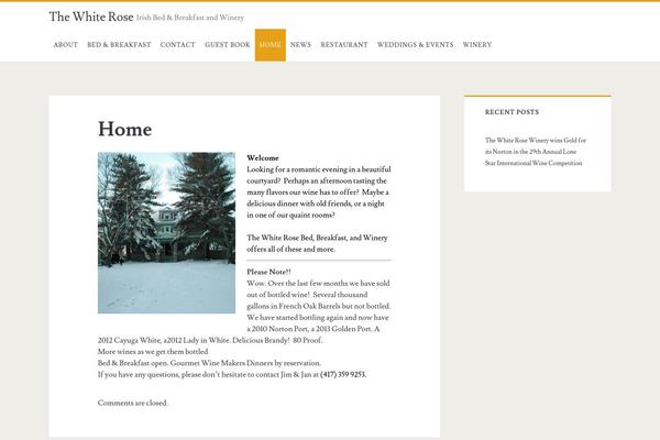 Ignite theme site design template sample